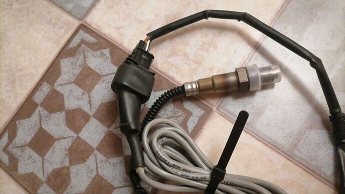 photo_2026-02-28_02-15-01